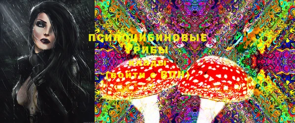 МДПВ Белокуриха