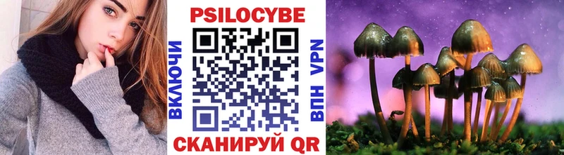 Галлюциногенные грибы Cubensis  наркота  Куртамыш 